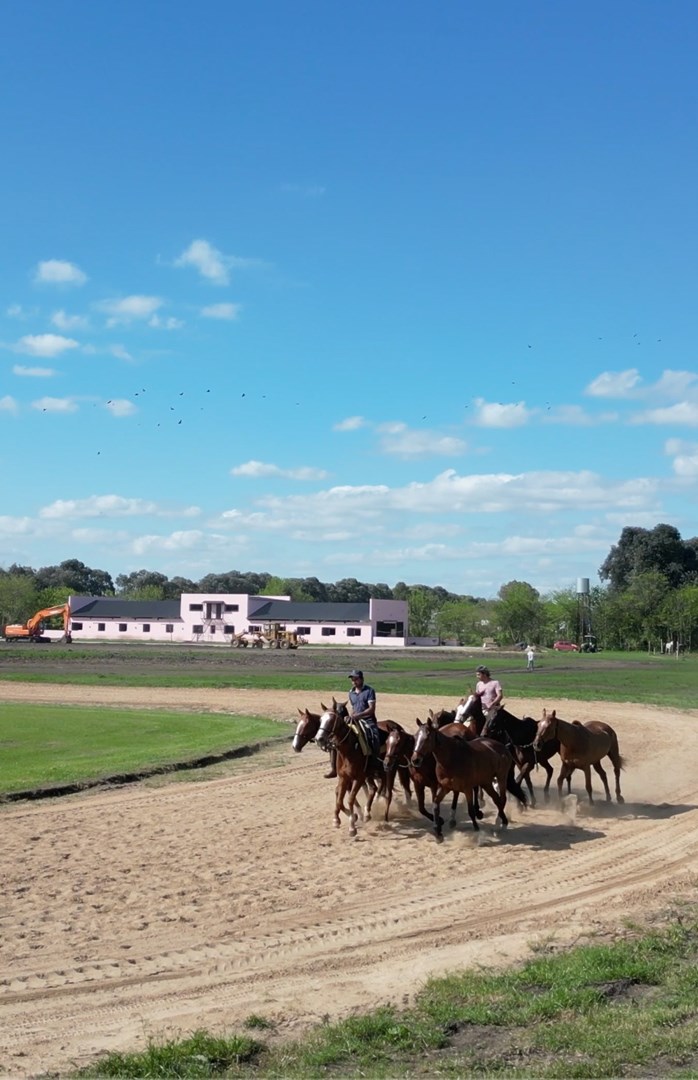 Campo ecuestre con instalaciones de polo en Open Door 14
