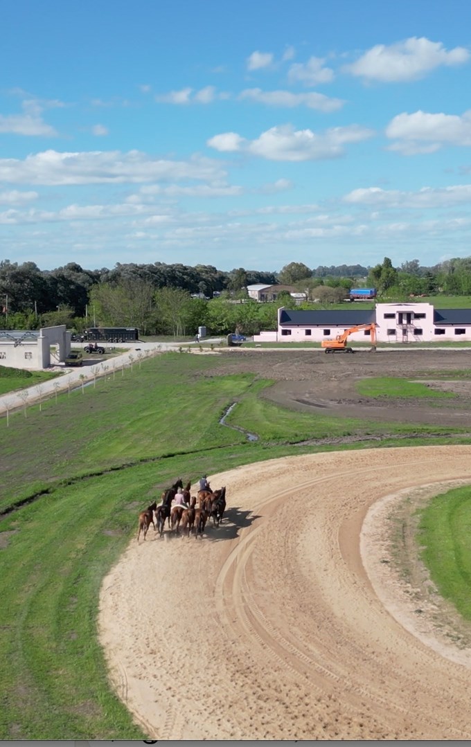 Campo ecuestre con instalaciones de polo en Open Door 17