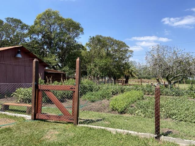 Huerta cercada con tranquera y galpón al fondo 9