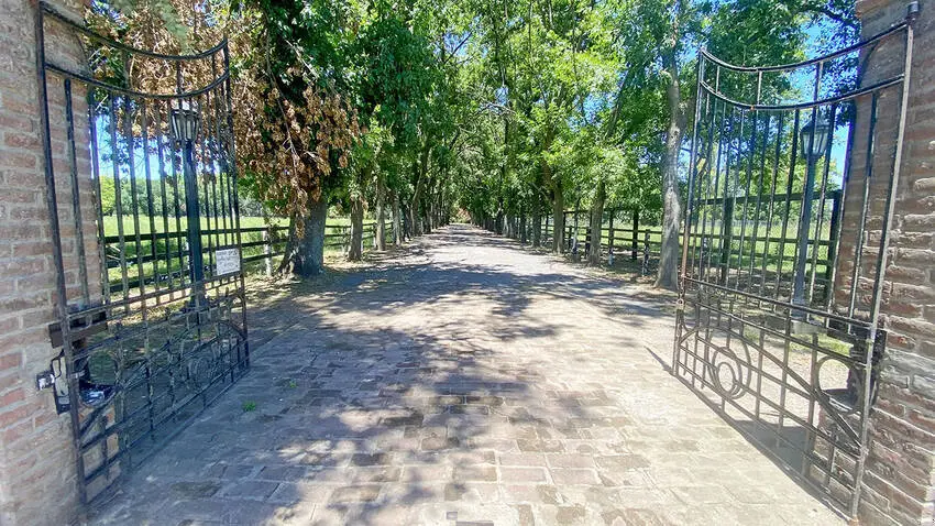 Haras Orilla del Monte 10