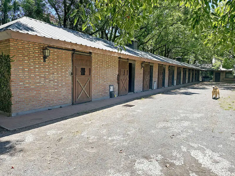 Haras Orilla del Monte 13