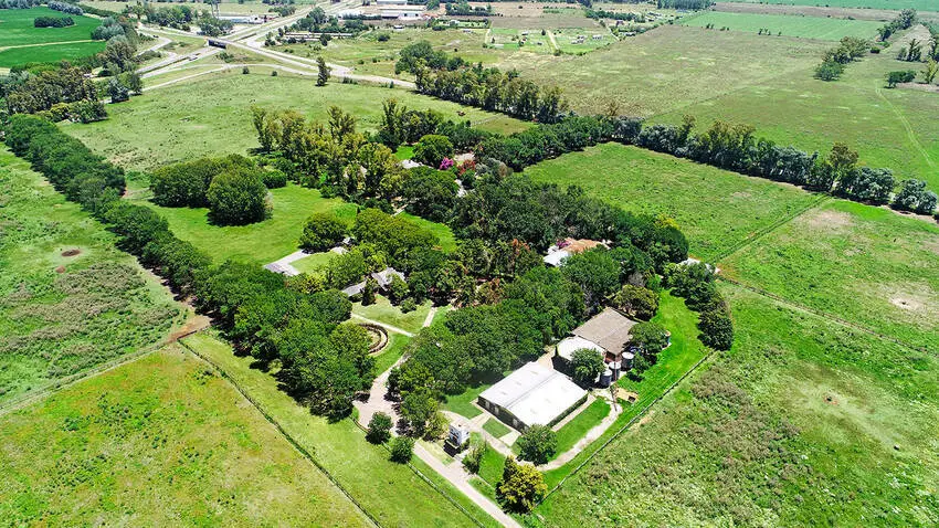 Haras Orilla del Monte 14