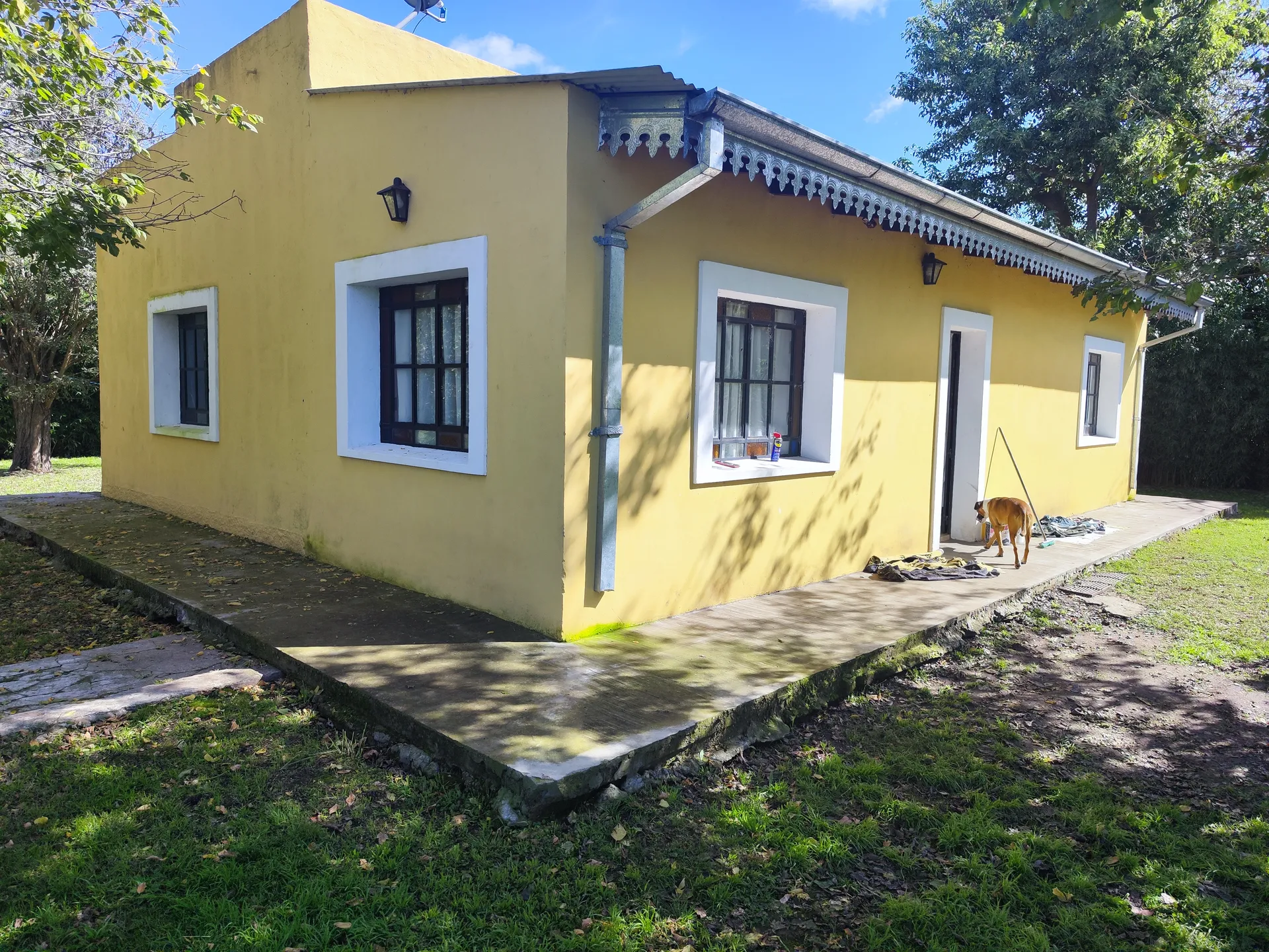 Ex Estación E. Fynn - Fracción de 15 has con Edificación de la Estación 10