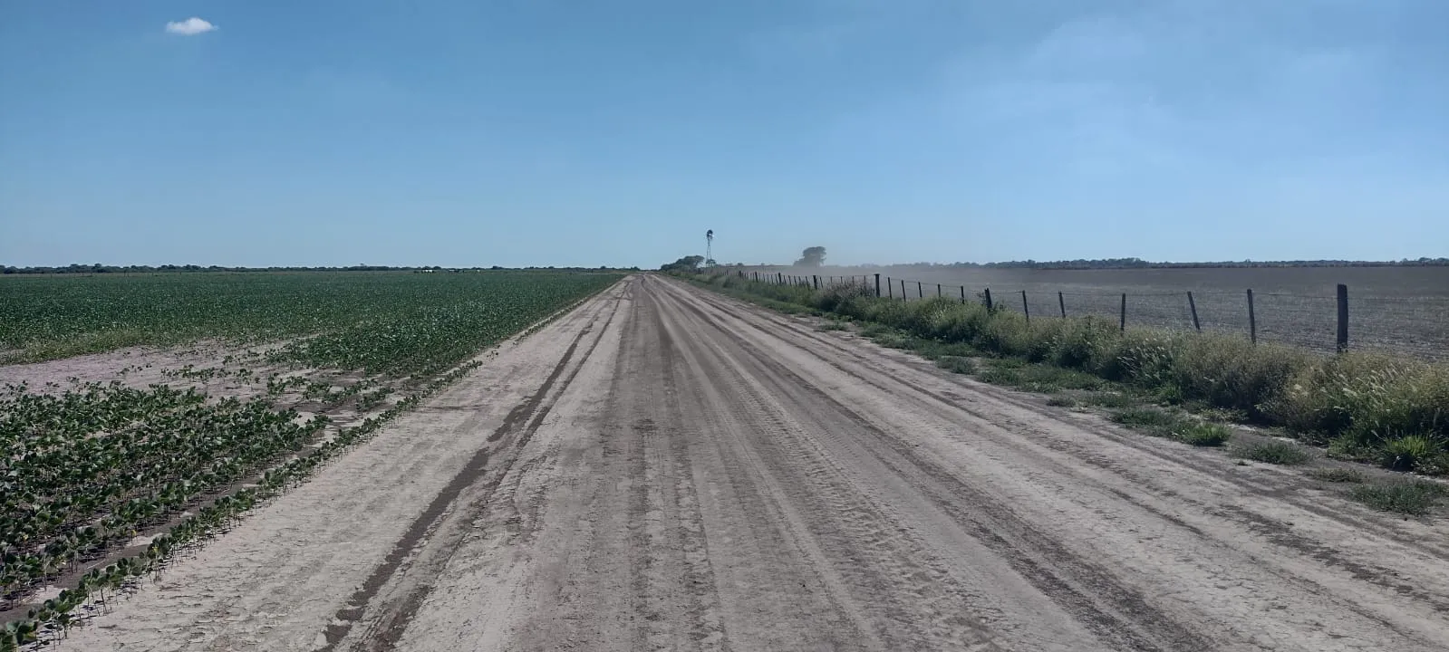 5.500 ha en San Justo, Santa Fe