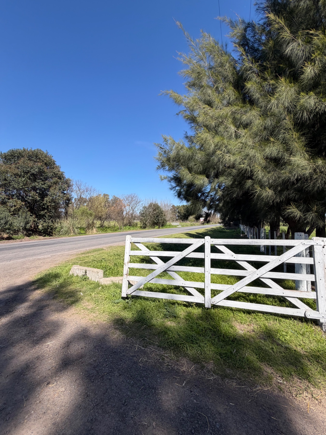 Campo sobre ruta 34, Pilar