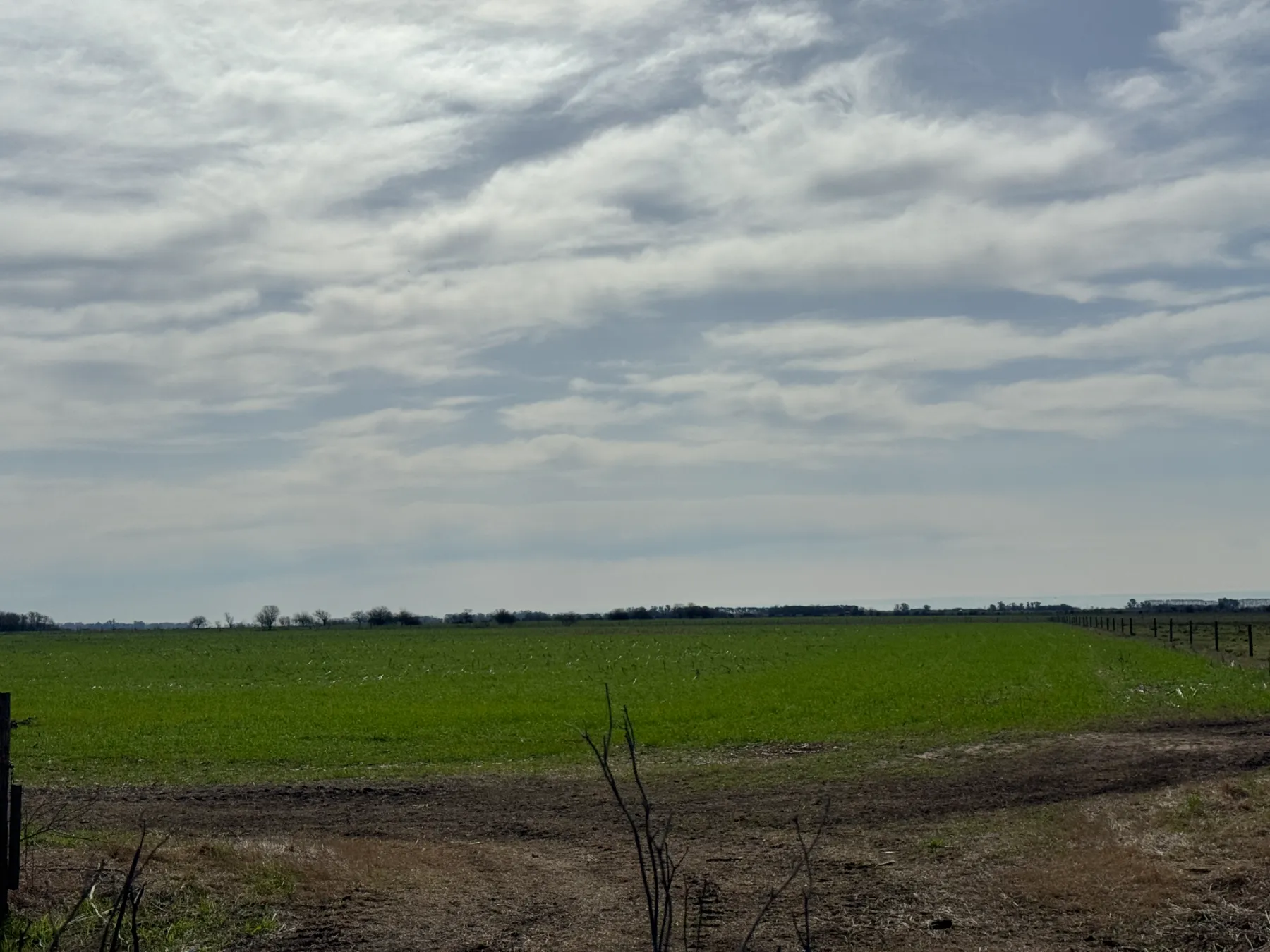 Campo mixto Carmen de Arexo - 260 ha